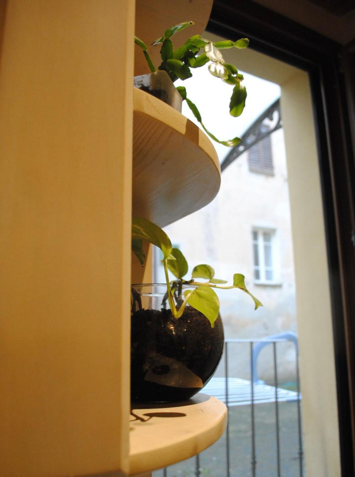 Casa Delia Apartment Pitigliano Bagian luar foto